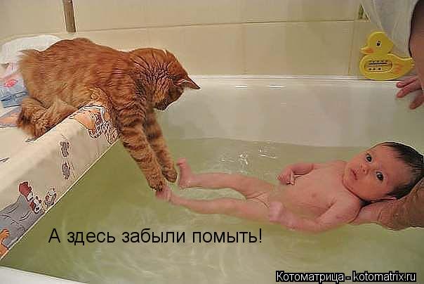 А здесь забыли помыть!... Котоматрица: А здесь забыли помыть!