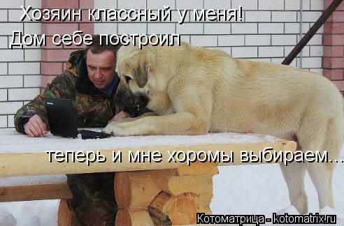 Хозяин классный у меня! Дом себе построил теперь и мне хоромы выбираем...... Котоматрица: Хозяин классный у меня! Дом себе построил теперь и мне хоромы выбираем...
