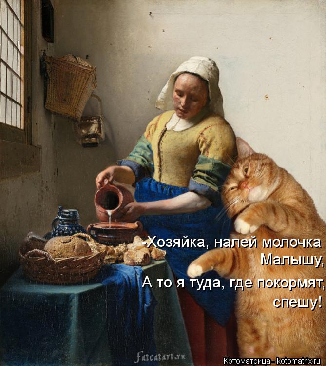 -Хозяйка, налей молочка Малышу, А то я туда, где покормят, спешу!... Котоматрица: -Хозяйка, налей молочка Малышу, А то я туда, где покормят, спешу!
