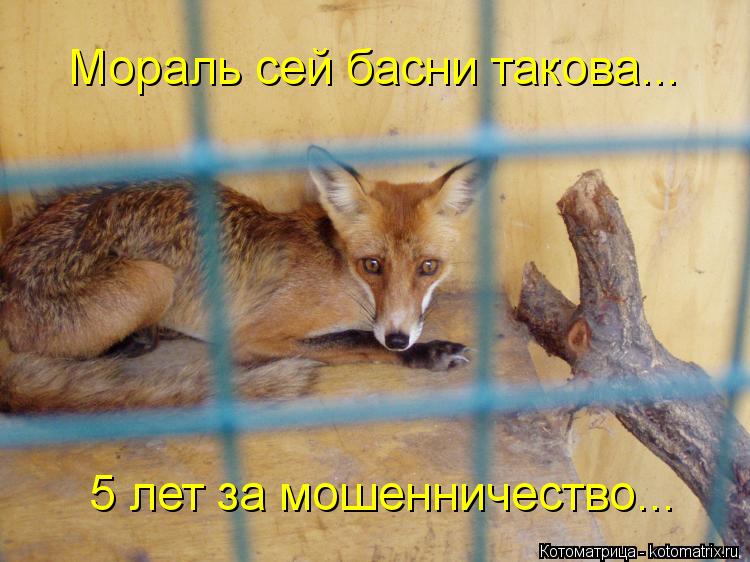 Мораль сей басни такова... 5 лет за мошенничество...... Котоматрица: Мораль сей басни такова... 5 лет за мошенничество...