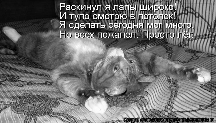 http://kotomatrix.ru/images/lolz/2013/10/20/kotomatritsa_db.jpg