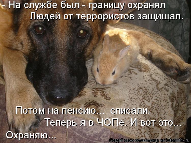 - На службе был - границу охранял Людей от террористов защищал. Потом на пенсию... списали. Теперь я... Котоматрица: - На службе был - границу охранял Людей от террористов защищал. Потом на пенсию... списали. Теперь я в ЧОПе. И вот это... Охраняю...