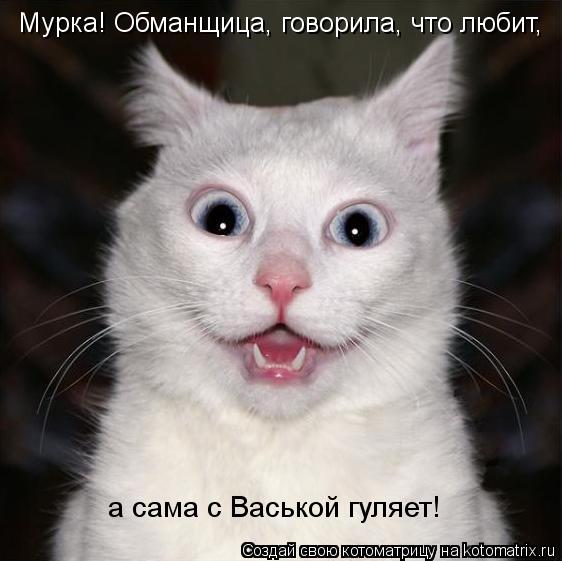 Мурка! Обманщица, говорила, что любит, а сама с Васькой гуляет!... Котоматрица: Мурка! Обманщица, говорила, что любит, а сама с Васькой гуляет!