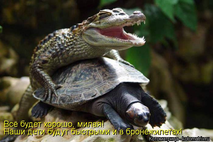 Всё будет хорошо, милая! Наши дети будут быстрыми и в бронежилетах!... Котоматрица: Всё будет хорошо, милая! Наши дети будут быстрыми и в бронежилетах!