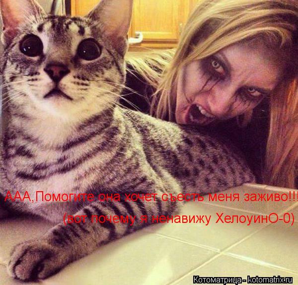 ААА,Помогите она хочет съесть меня заживо!!! (вот почему я ненавижу ХелоуинО-0)... Котоматрица: ААА,Помогите она хочет съесть меня заживо!!! (вот почему я ненавижу ХелоуинО-0)