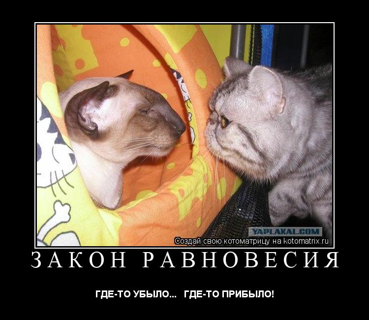 ЗАКОН РАВНОВЕСИЯ ГДЕ-ТО УБЫЛО... ГДЕ-ТО ПРИБЫЛО!... Котоматрица: ЗАКОН РАВНОВЕСИЯ ГДЕ-ТО УБЫЛО... ГДЕ-ТО ПРИБЫЛО!