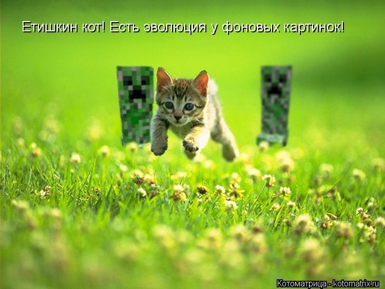 Етишкин кот! Есть эволюция у фоновых картинок!... Котоматрица: Етишкин кот! Есть эволюция у фоновых картинок!