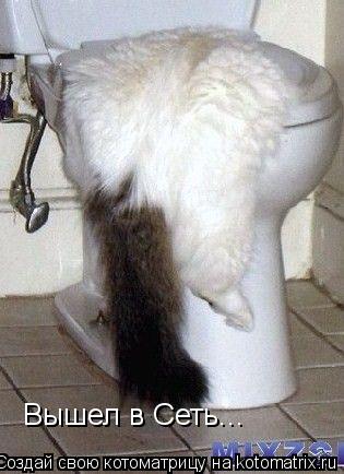 Вышел в Сеть...... Котоматрица: Вышел в Сеть...