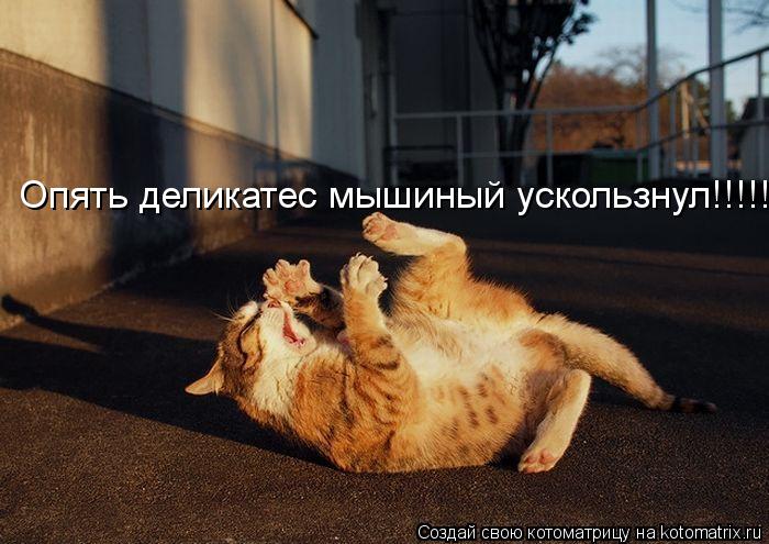 Опять деликатес мышиный ускользнул!!!!!!... Котоматрица: Опять деликатес мышиный ускользнул!!!!!!
