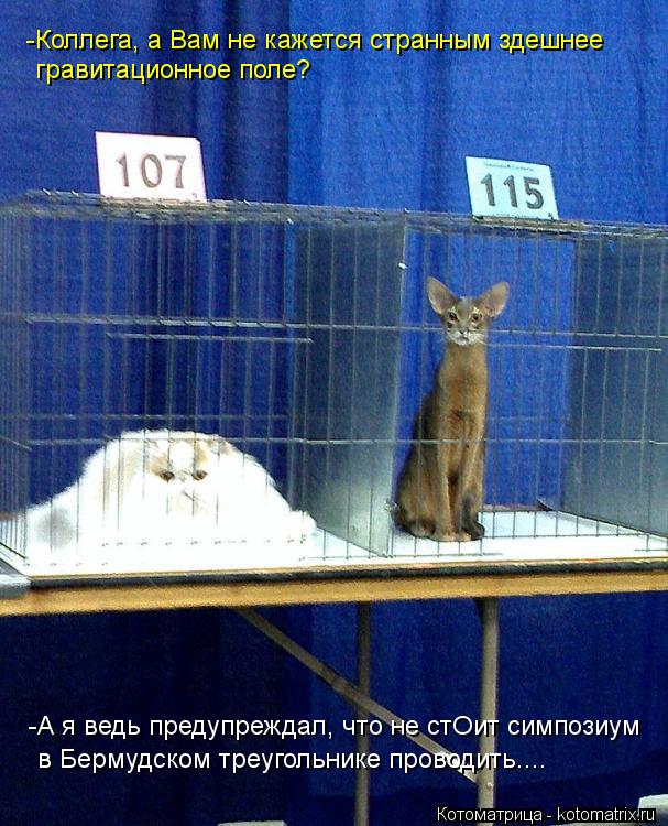 -Коллега, а Вам не кажется странным здешнее гравитационное поле? -А я ведь предупреждал, что не стОит... Котоматрица: -Коллега, а Вам не кажется странным здешнее гравитационное поле? -А я ведь предупреждал, что не стОит симпозиум в Бермудском треугольнике п