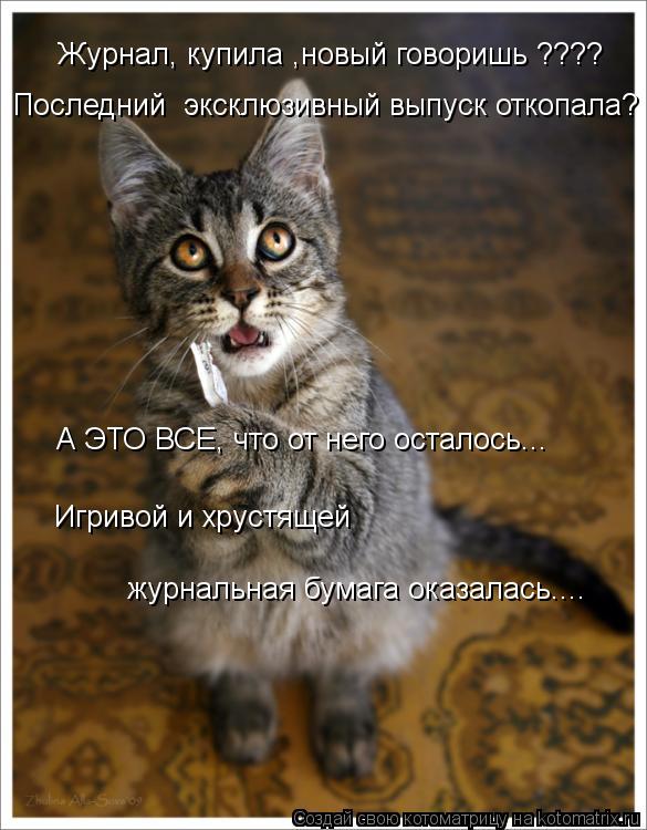 Журнал, купила ,новый говоришь ???? А ЭТО ВСЕ, что от него осталось... Игривой и хрустящей журнальная... Котоматрица: Журнал, купила ,новый говоришь ???? А ЭТО ВСЕ, что от него осталось... Игривой и хрустящей журнальная бумага оказалась.... Последний эксклюзивн