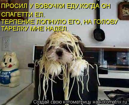 ПРОСИЛ У ВОВОЧКИ ЕДУ,КОГДА ОН СПАГЕТТИ ЕЛ. ТЕРПЕНИЕ ЛОПНУЛО ЕГО, НА ГОЛОВУ ТАРЕЛКУ МНЕ НАДЕЛ.... Котоматрица: ПРОСИЛ У ВОВОЧКИ ЕДУ,КОГДА ОН СПАГЕТТИ ЕЛ. ТЕРПЕНИЕ ЛОПНУЛО ЕГО, НА ГОЛОВУ ТАРЕЛКУ МНЕ НАДЕЛ.