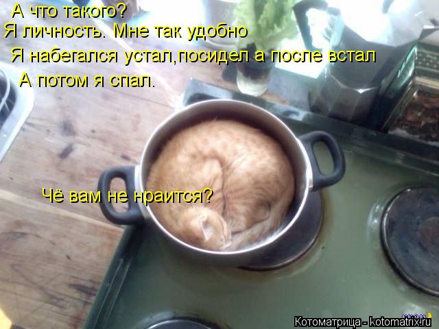 А что такого? Я личность. Мне так удобно Я набегался устал,посидел а после встал А потом я спал. Чё в... Котоматрица: А что такого? Я личность. Мне так удобно Я набегался устал,посидел а после встал А потом я спал. Чё вам не нраится?