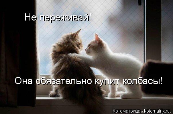 Не переживай! Она обязательно купит колбасы!... Котоматрица: Не переживай! Она обязательно купит колбасы!