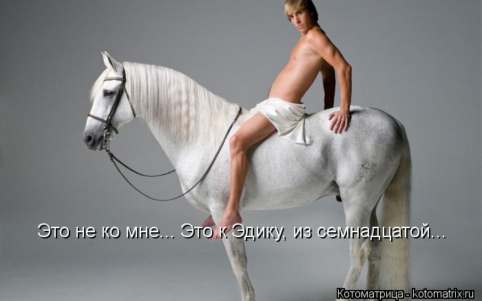 Это не ко мне... Это к Эдику, из семнадцатой... Это не ко мне... Это к Эдику, из семнадцатой...... Котоматрица: Это не ко мне... Это к Эдику, из семнадцатой... Это не ко мне... Это к Эдику, из семнадцатой...