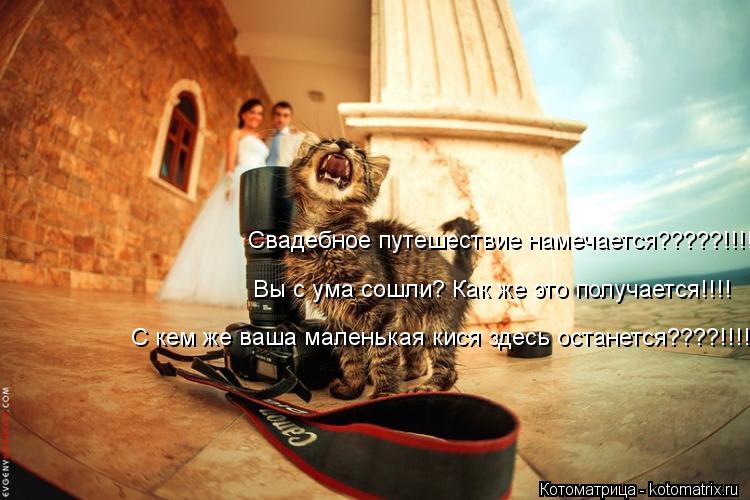 Свадебное путешествие намечается?????!!!!!! Вы с ума сошли? Как же это получается!!!! С кем же ваша м... Котоматрица: Свадебное путешествие намечается?????!!!!!! Вы с ума сошли? Как же это получается!!!! С кем же ваша маленькая кися здесь останется????!!!!