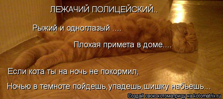 ЛЕЖАЧИЙ ПОЛИЦЕЙСКИЙ.. Рыжий и одноглазый .... Плохая примета в доме.... Если кота ты на ночь не покор... Котоматрица: ЛЕЖАЧИЙ ПОЛИЦЕЙСКИЙ.. Рыжий и одноглазый .... Плохая примета в доме.... Если кота ты на ночь не покормил, Ночью в темноте пойдешь,упадешь,шишку