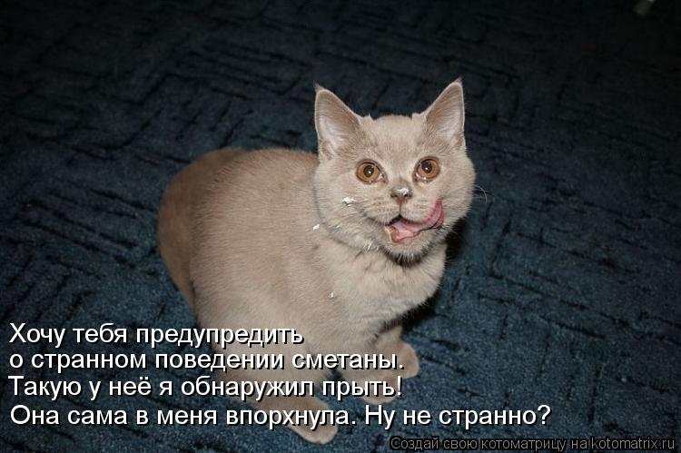 Такую у неё я обнаружил прыть! Она сама в меня впорхнула. Ну не странно? о странном поведении сметаны... Котоматрица: Такую у неё я обнаружил прыть! Она сама в меня впорхнула. Ну не странно? о странном поведении сметаны. Хочу тебя предупредить