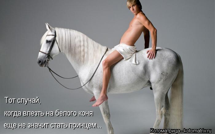 Тот случай, когда влезть на белого коня еще не значит стать принцем...... Котоматрица: Тот случай, когда влезть на белого коня еще не значит стать принцем...