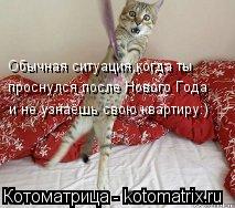 Обычная ситуация,когда ты проснулся после Нового Года и не узнаёшь свою квартиру:)... Котоматрица: Обычная ситуация,когда ты проснулся после Нового Года и не узнаёшь свою квартиру:)