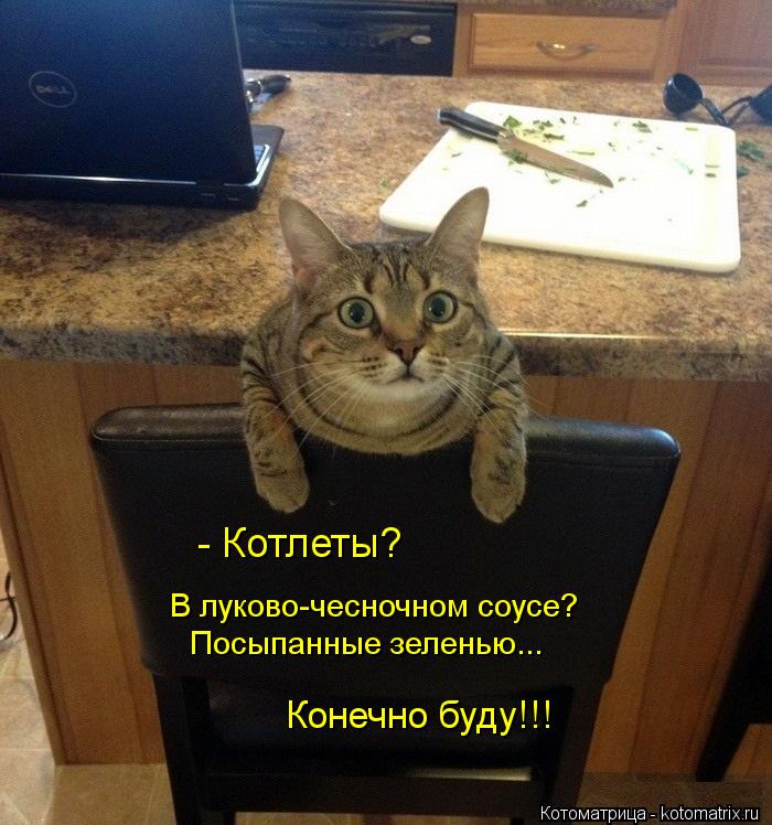 - Котлеты? В луково-чесночном соусе? Посыпанные зеленью... Конечно буду!!!... Котоматрица: - Котлеты? В луково-чесночном соусе? Посыпанные зеленью... Конечно буду!!!