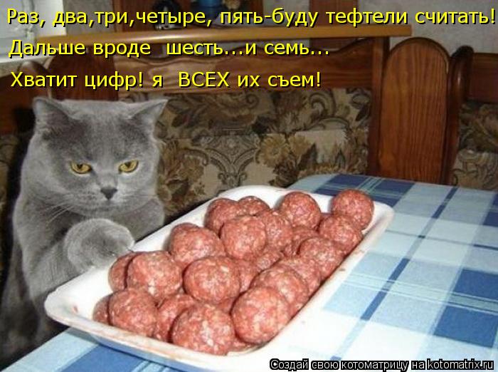 Хватит цифр! я ВСЕХ их съем! Дальше вроде шесть...и семь... Раз, два,три,четыре, пять-буду тефтели ... Котоматрица: Хватит цифр! я ВСЕХ их съем! Дальше вроде шесть...и семь... Раз, два,три,четыре, пять-буду тефтели считать!
