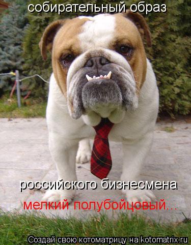 собирательный образ российского бизнесмена мелкий полубойцовый...... Котоматрица: собирательный образ российского бизнесмена мелкий полубойцовый...