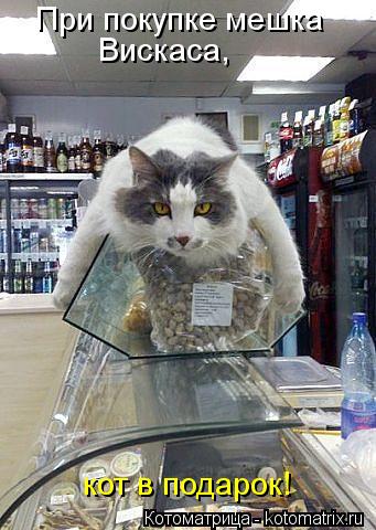 При покупке мешка Вискаса, кот в подарок!... Котоматрица: При покупке мешка Вискаса, кот в подарок!