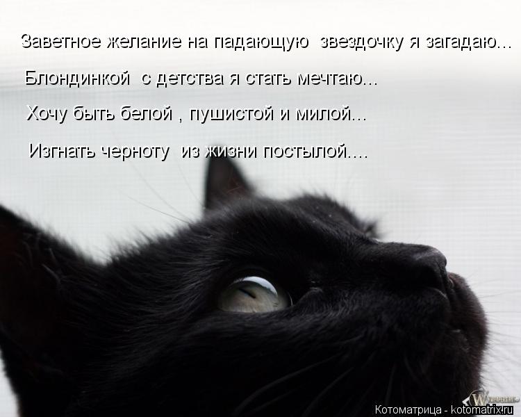 Заветное желание на падающую звездочку я загадаю... Блондинкой с детства я стать мечтаю... Хочу быт... Котоматрица: Заветное желание на падающую звездочку я загадаю... Блондинкой с детства я стать мечтаю... Хочу быть белой , пушистой и милой... Изгнать черно