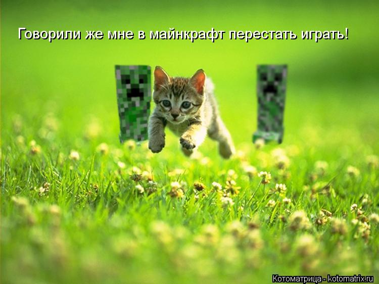 Говорили же мне в майнкрафт перестать играть!... Котоматрица: Говорили же мне в майнкрафт перестать играть!