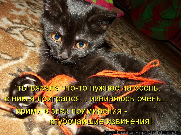ты вязала что-то нужное на осень, с ним я поигрался... извиняюсь очень... клубочайшие извинения! прим... Котоматрица: ты вязала что-то нужное на осень, с ним я поигрался... извиняюсь очень... клубочайшие извинения! прими в знак примирения -