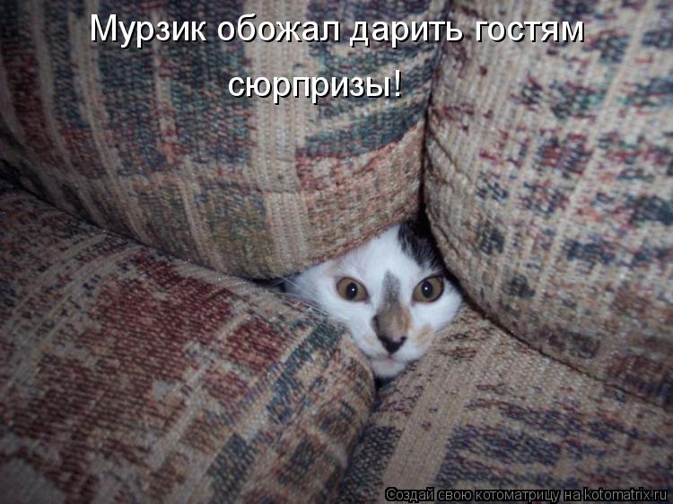 Мурзик обожал дарить гостям сюрпризы!... Котоматрица: Мурзик обожал дарить гостям сюрпризы!