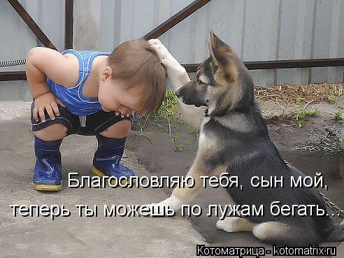 Благословляю тебя, сын мой, теперь ты можешь по лужам бегать...... Котоматрица: Благословляю тебя, сын мой, теперь ты можешь по лужам бегать...