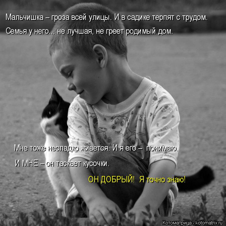 Мальчишка – гроза всей улицы. И в садике терпят с трудом. Семья у него... не лучшая, не греет родимый... Котоматрица: Мальчишка – гроза всей улицы. И в садике терпят с трудом. Семья у него... не лучшая, не греет родимый дом. Мне тоже несладко живется. И я его –