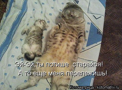 Эй-Эй,ты потише старайся! А то еще меня перележишь!... Котоматрица: Эй-Эй,ты потише старайся! А то еще меня перележишь!