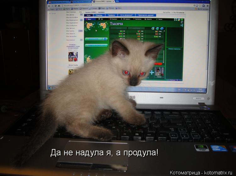 Да не надула я, а продула!... Котоматрица: Да не надула я, а продула!