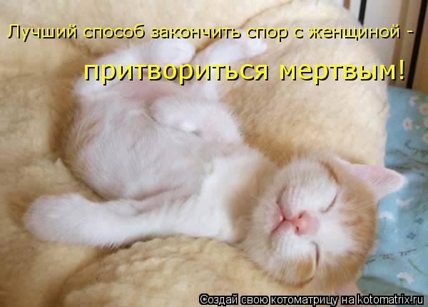 притвориться мертвым! Лучший способ закончить спор с женщиной -... Котоматрица: притвориться мертвым! Лучший способ закончить спор с женщиной -