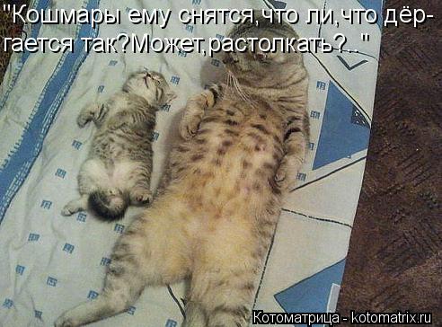 "Кошмары ему снятся,что ли,что дёр- гается так?Может,растолкать?.."... Котоматрица: "Кошмары ему снятся,что ли,что дёр- гается так?Может,растолкать?.."