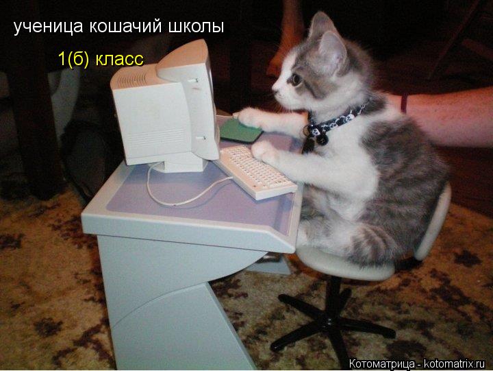 ученица кошачий школы 1(б) класс... Котоматрица: ученица кошачий школы 1(б) класс
