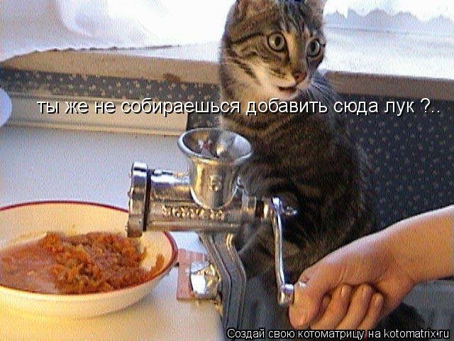 ты же не собираешься добавить сюда лук ?..... Котоматрица: ты же не собираешься добавить сюда лук ?..