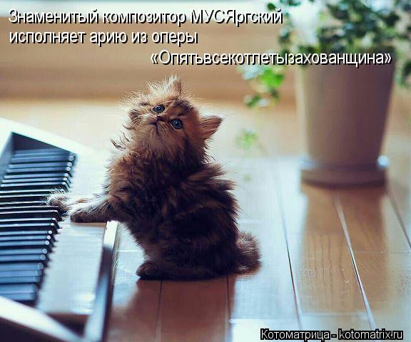 Знаменитый композитор МУСЯргский исполняет арию из оперы «Опятьвсекотлетызахованщина»... Котоматрица: Знаменитый композитор МУСЯргский исполняет арию из оперы «Опятьвсекотлетызахованщина»