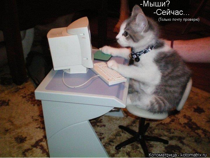 -Мыши? -Сейчас... (Только почту проверю)... Котоматрица: -Мыши? -Сейчас... (Только почту проверю)
