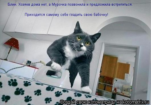 Блин. Хозяев дома нет, а Мурочка позвонила и предложила встретиться. Приходится самому себе гладить с... Котоматрица: Блин. Хозяев дома нет, а Мурочка позвонила и предложила встретиться. Приходится самому себе гладить свою бабочку!