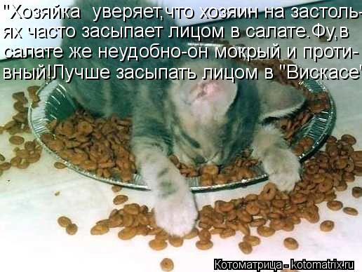"Хозяйка уверяет,что хозяин на застоль- ях часто засыпает лицом в салате.Фу,в салате же неудобно-он ... Котоматрица: "Хозяйка уверяет,что хозяин на застоль- ях часто засыпает лицом в салате.Фу,в салате же неудобно-он мокрый и проти- вный!Лучше засыпать лицо