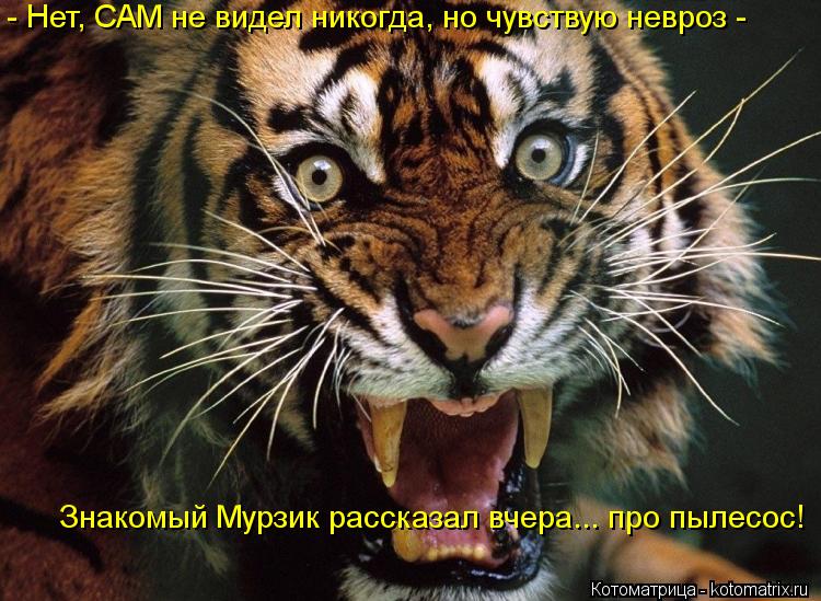 Котоматрица: - Нет, САМ не видел никогда, но чувствую невроз - Знакомый Мурзик рассказал вчера... про пылесос!