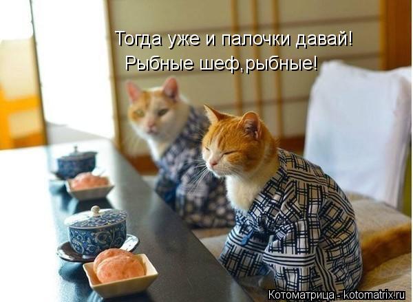 Тогда уже и палочки давай! Рыбные шеф,рыбные!... Котоматрица: Тогда уже и палочки давай! Рыбные шеф,рыбные!