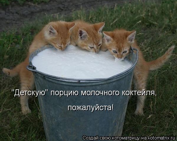 "Детскую" порцию молочного коктейля, пожалуйста!... Котоматрица: "Детскую" порцию молочного коктейля, пожалуйста!