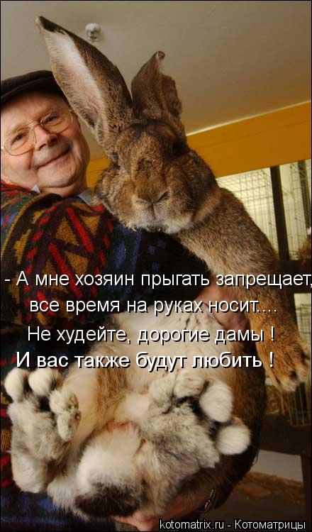 - А мне хозяин прыгать запрещает, все время на руках носит.... Не худейте, дорогие дамы ! И вас также... Котоматрица: - А мне хозяин прыгать запрещает, все время на руках носит.... Не худейте, дорогие дамы ! И вас также будут любить !