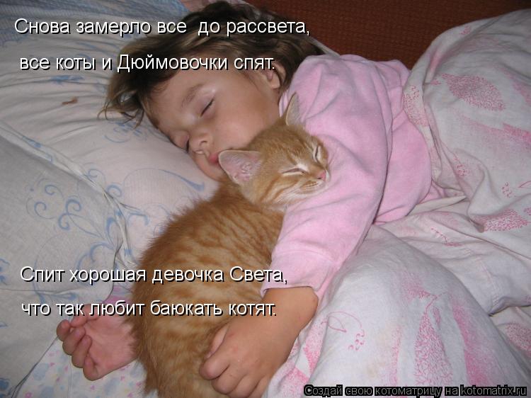 Снова замерло все до рассвета, все коты и Дюймовочки спят. Спит хорошая девочка Света, что так люб... Котоматрица: Снова замерло все до рассвета, все коты и Дюймовочки спят. Спит хорошая девочка Света, что так любит баюкать котят.