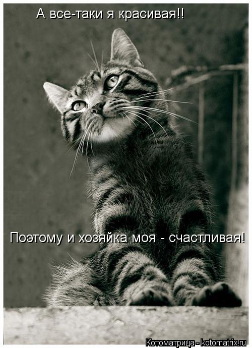 Поэтому и хозяйка моя - счастливая! А все-таки я красивая!!... Котоматрица: Поэтому и хозяйка моя - счастливая! А все-таки я красивая!!